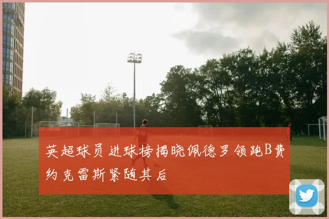 英超球员进球榜揭晓佩德罗领跑B费约克雷斯紧随其后