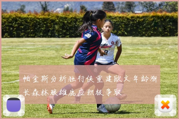 帕金斯分析独行侠重建欧文年龄渐长森林狼雄鹿应积极争取