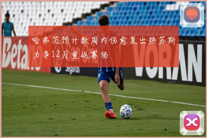 哈弗茨预计数周内伤愈复出热苏斯力争12月重返赛场