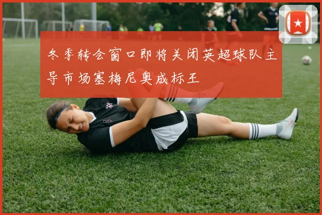 冬季转会窗口即将关闭英超球队主导市场塞梅尼奥成标王