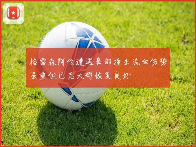 格雷森阿伦遭遇鼻部撞击流血伤势虽重但已无大碍恢复良好