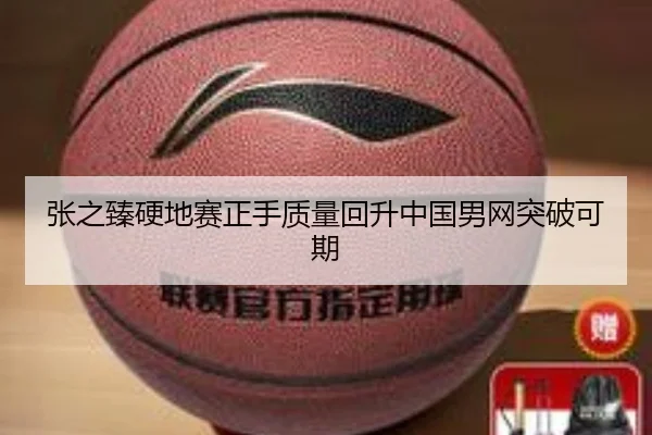 张之臻硬地赛正手质量回升中国男网突破可期